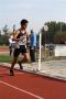 palio 228_101125114120
